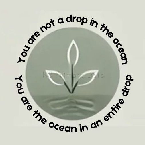 Still Pond Wellbeing Services